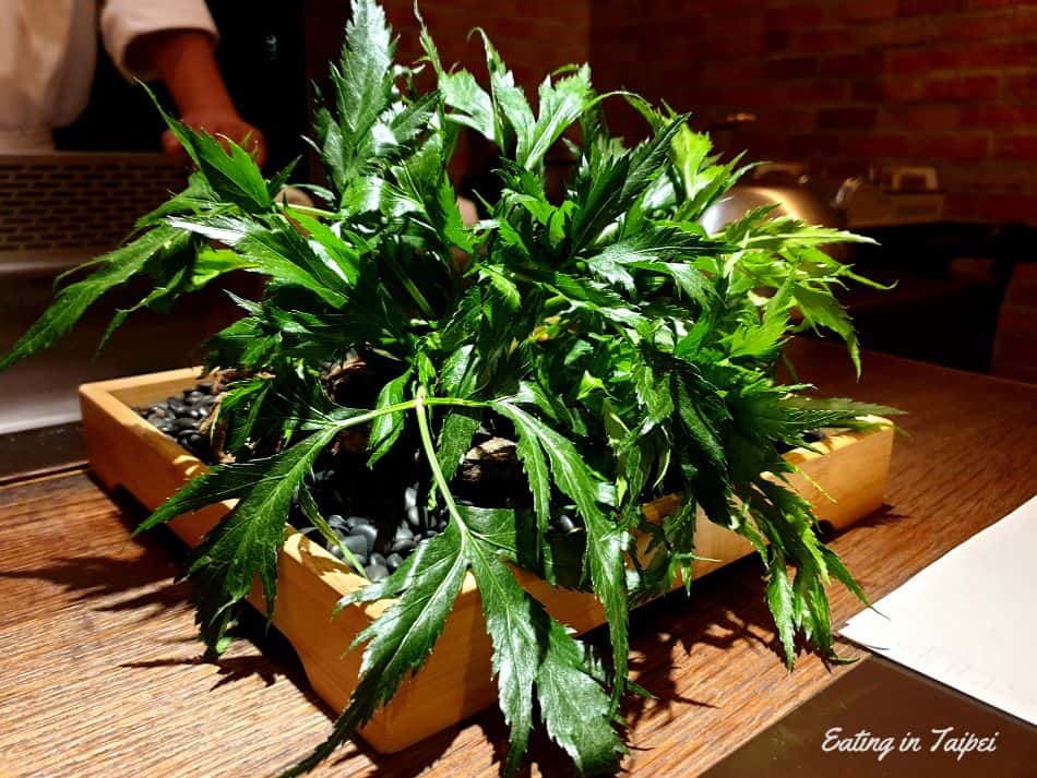 Robin s grill teppanyaki tainan angelica